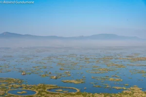 Loktak Lake, Manipur