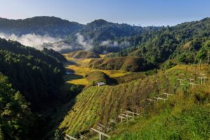 Ziro Valley, Arunachal Pradesh